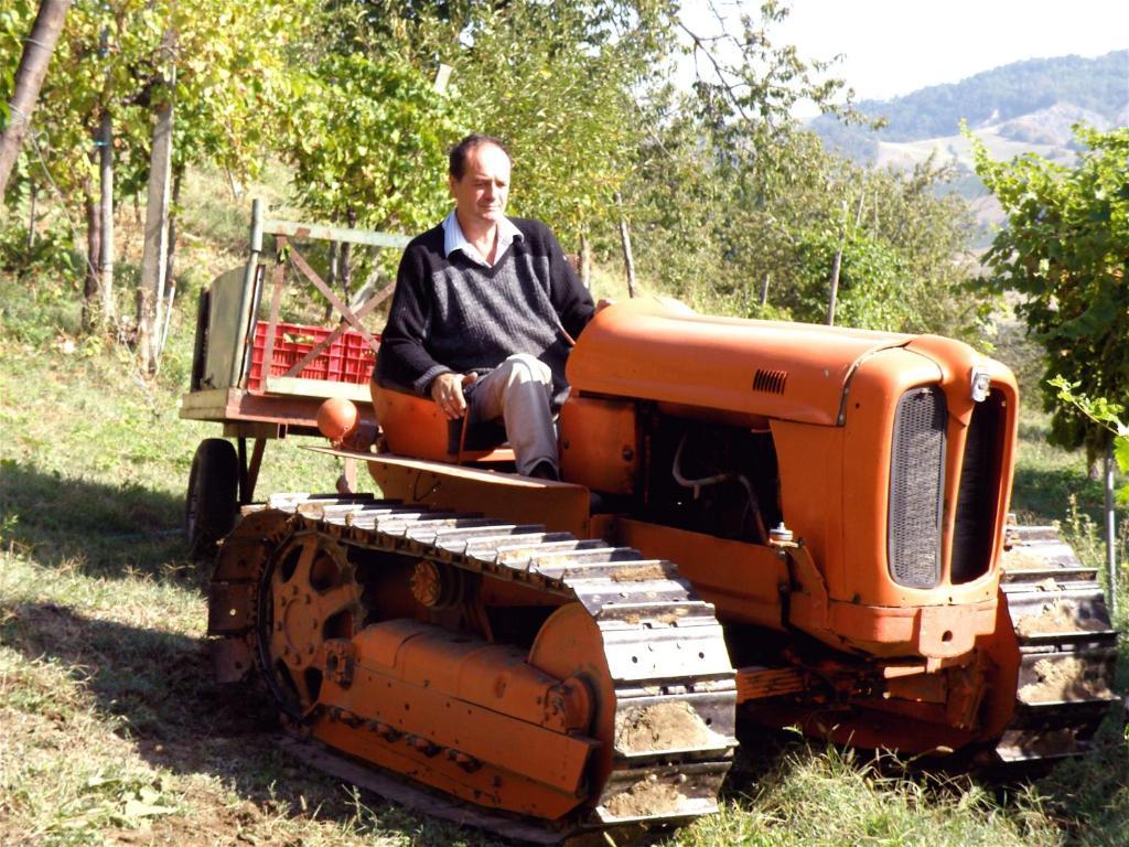 Agriturismo Ca' Isotta Castello di Serravalle Luaran gambar