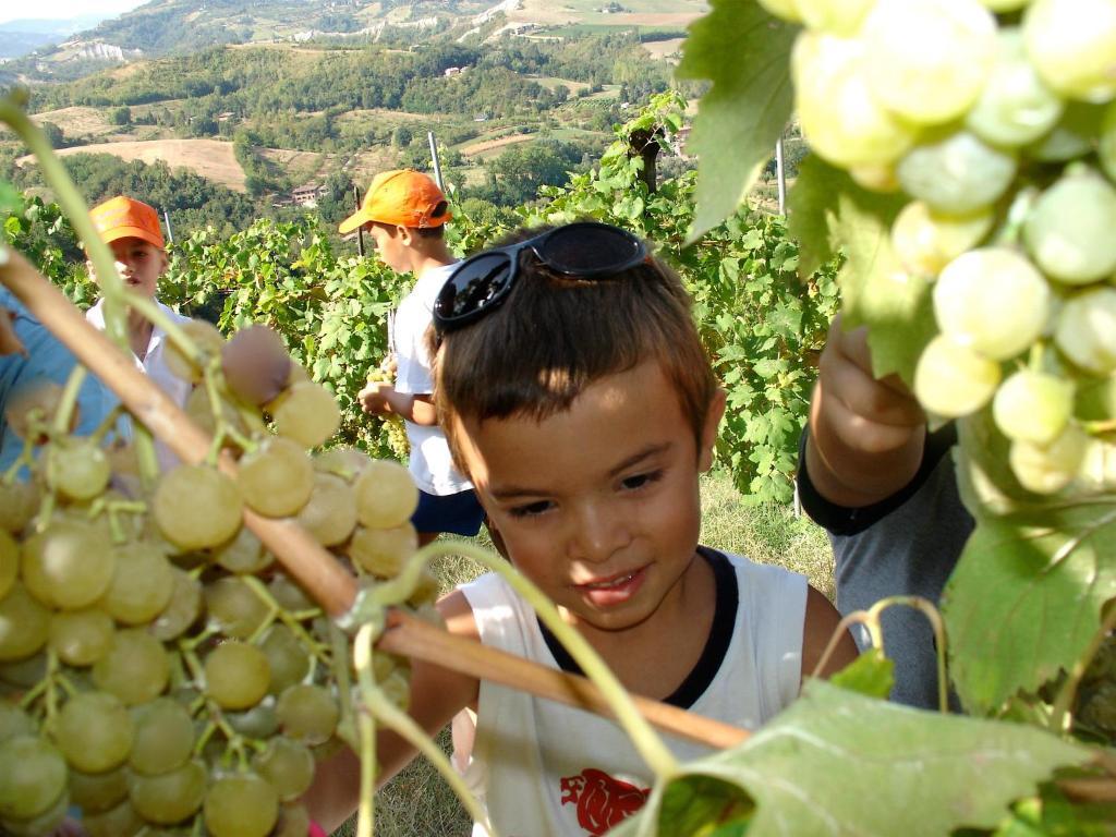Agriturismo Ca' Isotta Castello di Serravalle Luaran gambar