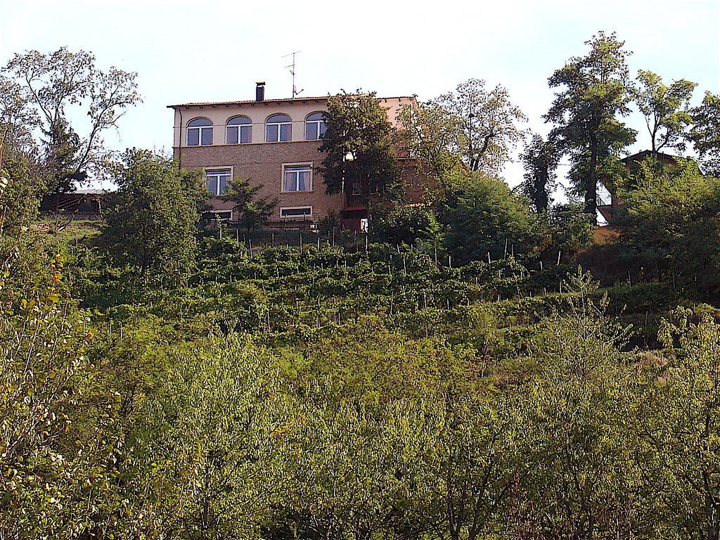 Agriturismo Ca' Isotta Castello di Serravalle Luaran gambar